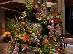 -浅深Cheersum(曹杨店)