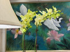 -福建鲤鱼洲酒店