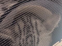 -宠福鑫康馨动物医院·骨科·眼科