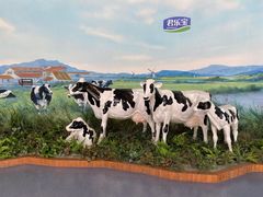 -君乐宝优致牧场