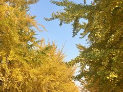 -辽宁大学(崇山校区)