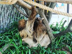 -乐和乐都主题乐园