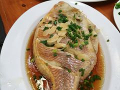 -绿光森林餐厅