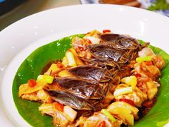 -麒麟中餐厅·经典粤菜·地道菜式老字号(广州长隆酒店)