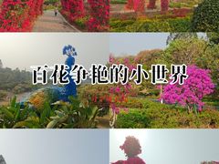 -东莞植物园