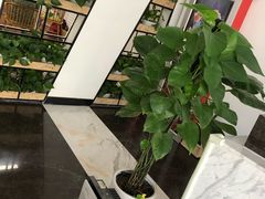 -苍轩跆拳道馆(望京店)