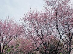 -堤角公园
