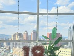 -海底捞火锅(振华广场生日主题店)