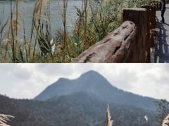 -羚羊峡古栈道森林公园