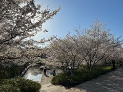 -诺贝尔湖公园