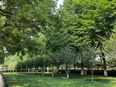 -辛亥革命博物院北区