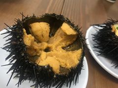 生海胆-海胆小馆(东北水饺·春柳店)