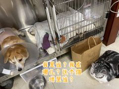 -美联众合动物医院·24h转诊中心