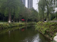 -重庆彩云湖湿地公园