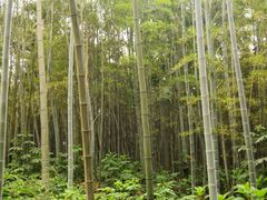 -洪湖悦兮半岛国际温泉度假村