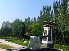 -武清南湖绿博园