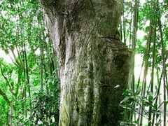 -白沙门生态公园