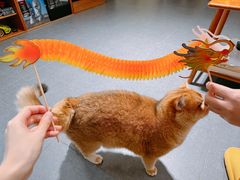 -好利来(广安门店)