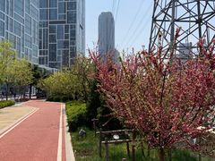 -马栏河运动公园