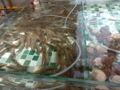 -四海蒸鲜蒸汽海鲜自助(北戴河店)