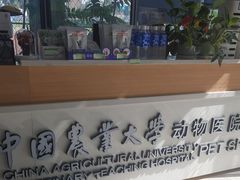 -中国农业大学动物医院