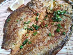 香煎黄花鱼-和记菜馆