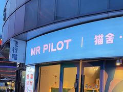 -飞行喵MR PILOT|猫舍·猫咖(静安大融城店)