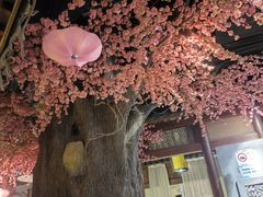 -韵秋荷(宝山龙湖天街店)