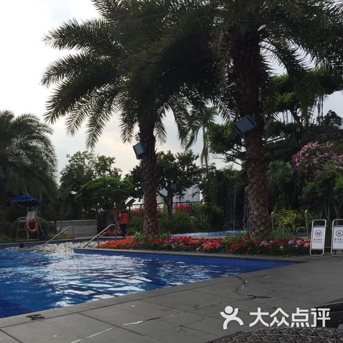 广州白天鹅宾馆游泳池图片-北京五星级酒店-大众点评网
