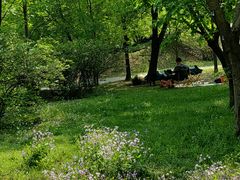 -国家植物园南园