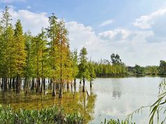 -白鹭湾湿地公园