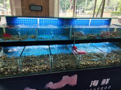 -佰园全日西餐厅-厦门佰翔软件园酒店