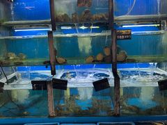 -老东镇啤酒屋海鲜加工·蒸汽海鲜·海鲜烧烤(台东店)