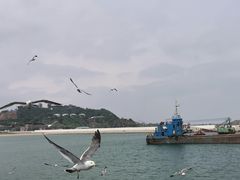 -长岛大黑山岛