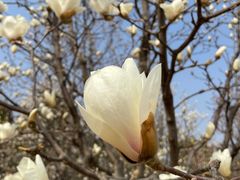 -北京西山国家森林公园