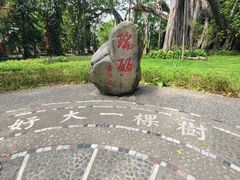 -独树成林