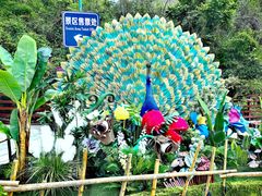 -西双版纳原始森林公园