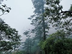 -瓦屋山景区