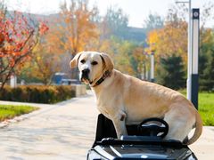 -中关村生命科学园