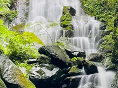 -藏龙百瀑风景区