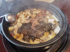 -滇野云南野生菌餐厅(陕西南路店)