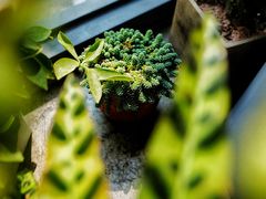 -隹木咖啡馆(宝龙广场店)