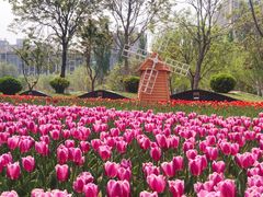 -廊坊文化艺术中心