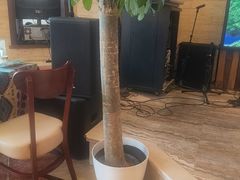 -巴依老爷新疆美食(工体旗舰店)