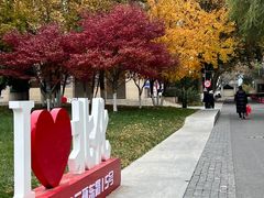-北京化工大学(东校区)