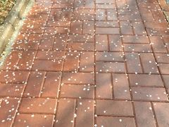 -山东师范大学(千佛山校区)