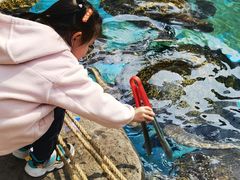 -海合安成都极地海洋公园