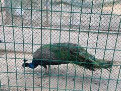 -武汉紫薇都市田园