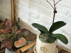 -小涵家蛋糕·咖啡(金山湖花园店)