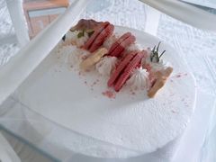 -今日·TODAY手作低脂动物奶油蛋糕定制(高新万达店)